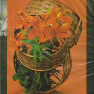 ইন্টারভিউ