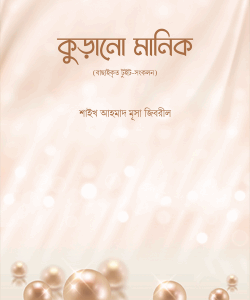 কুড়ানো মানিক